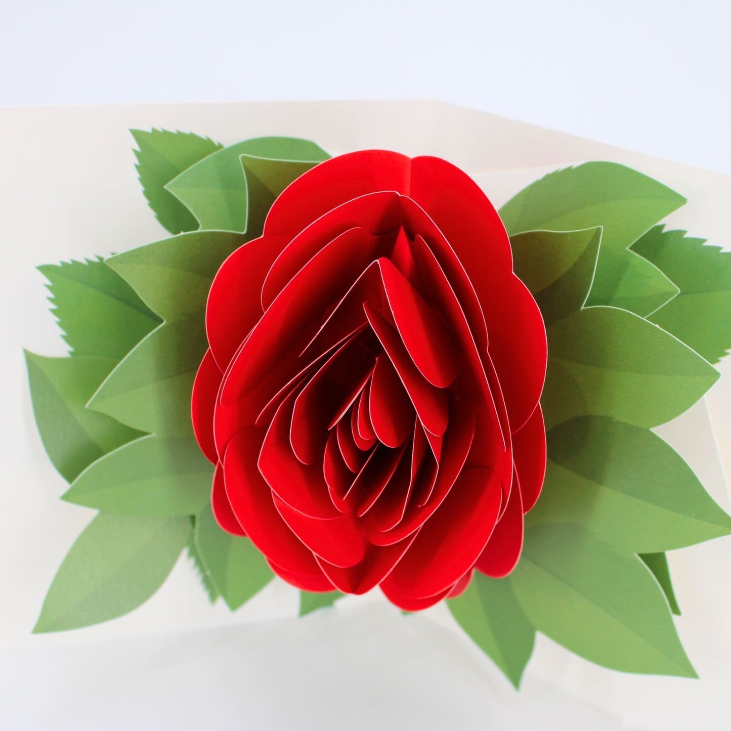 2toTango 3D Pop Up Card Single Red Rose Greeting Card Any Occasion