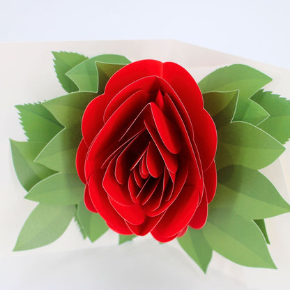 2toTango 3D Pop Up Card Single Red Rose Greeting Card Any Occasion