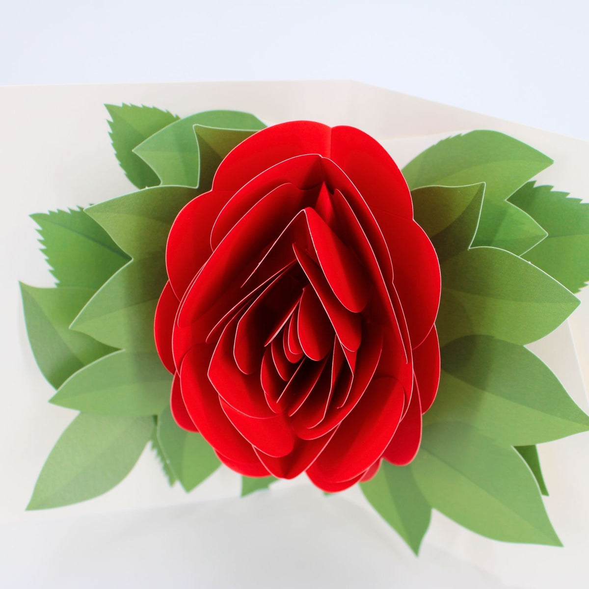 2toTango 3D Pop Up Card Single Red Rose Greeting Card Any Occasion