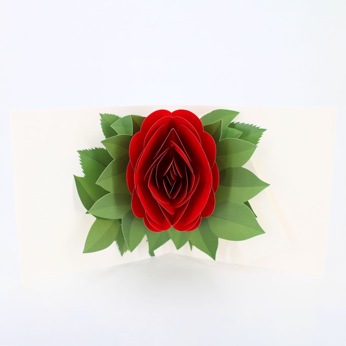 2toTango 3D Pop Up Card Single Red Rose Greeting Card Any Occasion