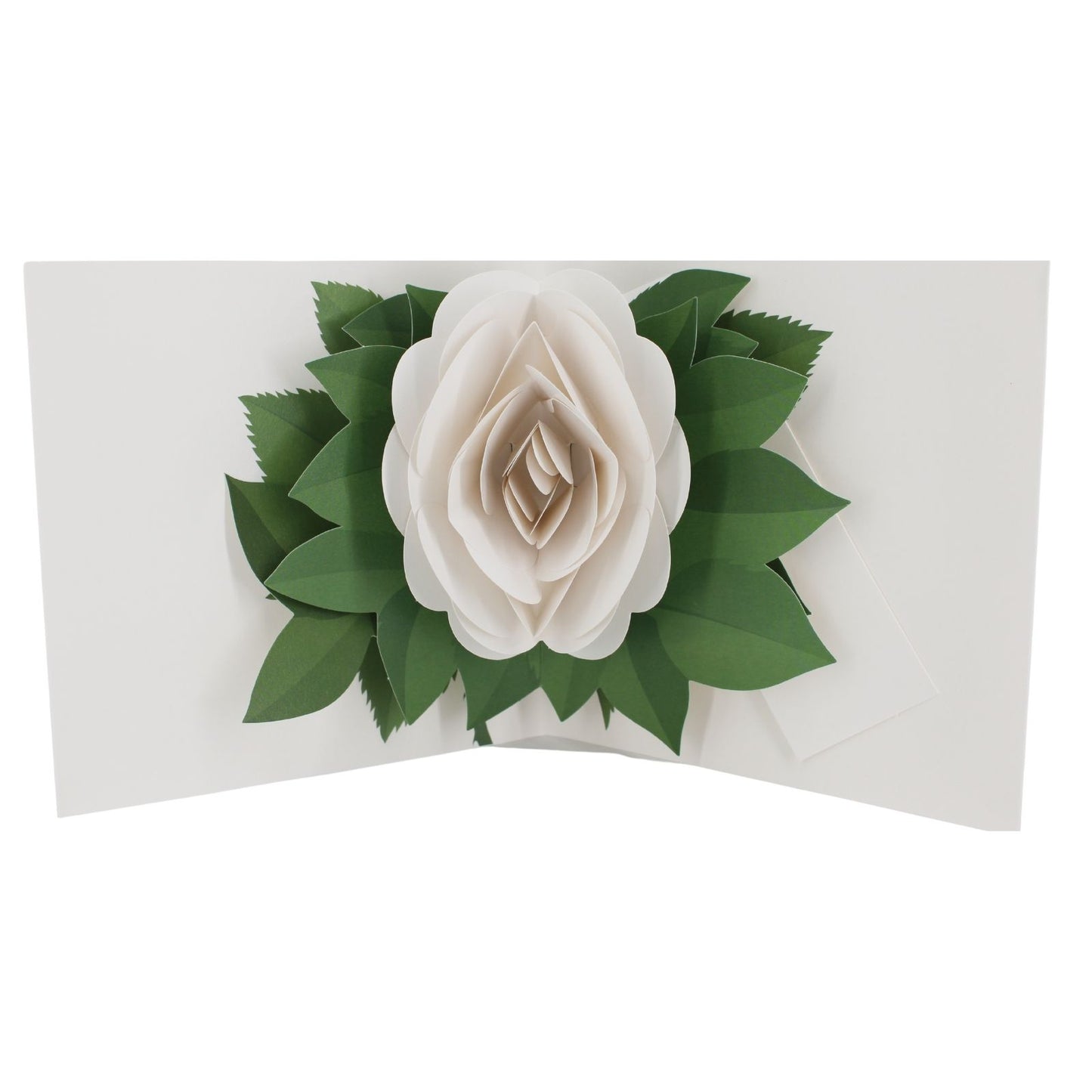 2toTango 3D Pop Up Card Single White Rose Greeting Card Any Occasion