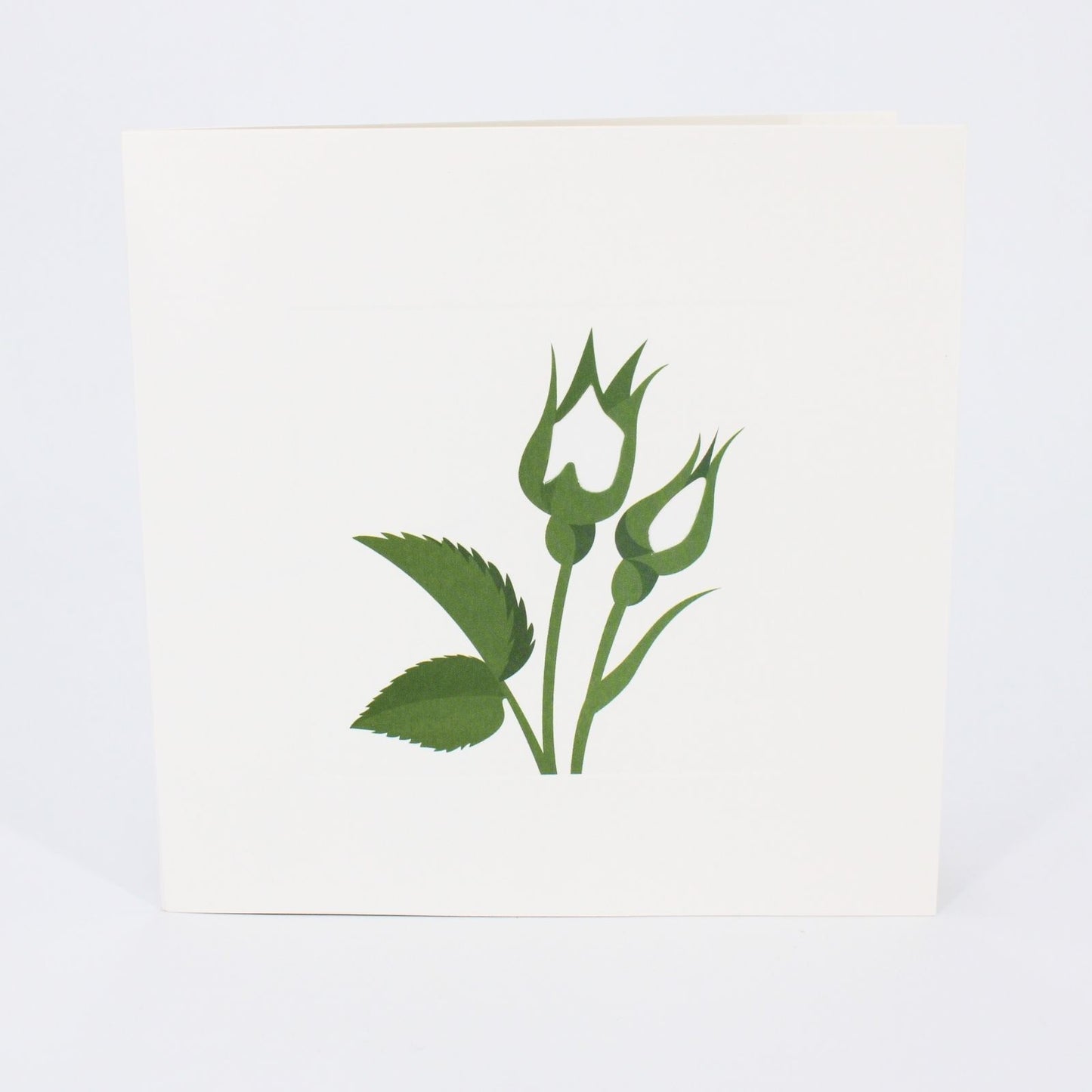2toTango 3D Pop Up Card Single White Rose Greeting Card Any Occasion