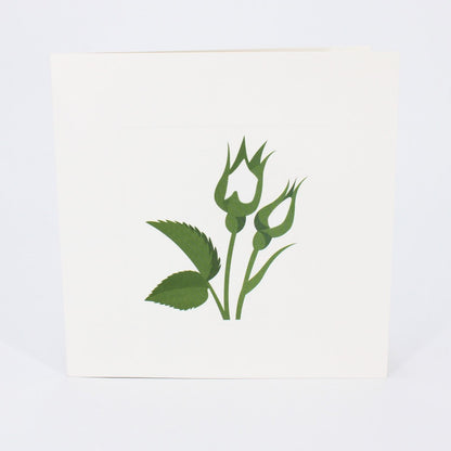 2toTango 3D Pop Up Card Single White Rose Greeting Card Any Occasion