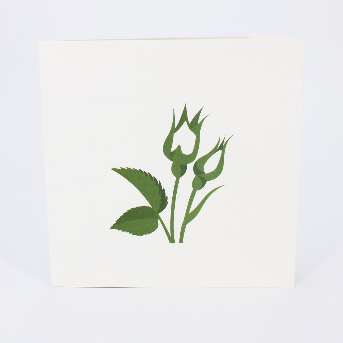2toTango 3D Pop Up Card Single White Rose Greeting Card Any Occasion