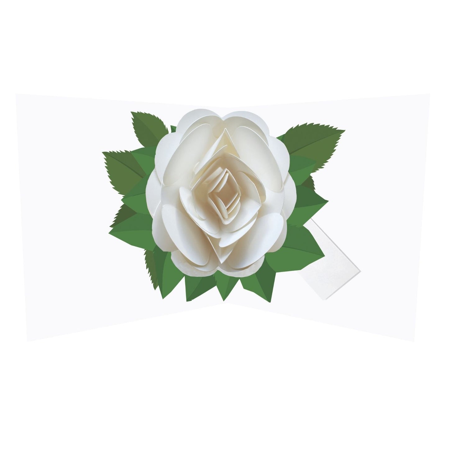 2toTango 3D Pop Up Card Single White Rose Greeting Card Any Occasion