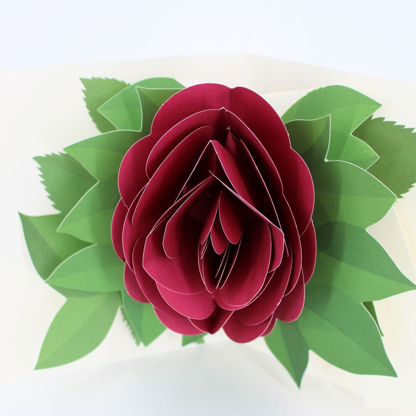 2toTango 3D Pop Up Card Green Single Red Rose Greeting Card Any Occasion