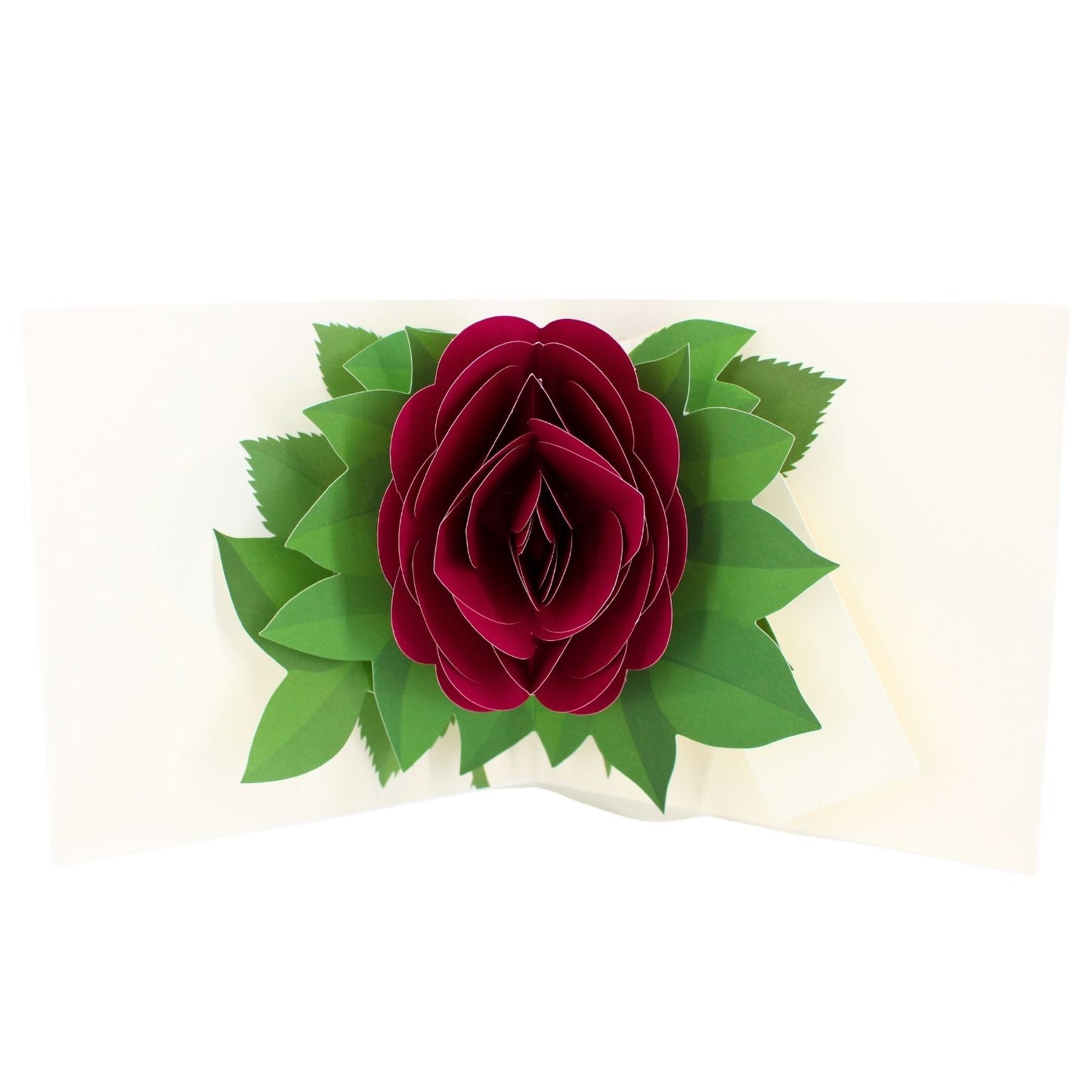 2toTango 3D Pop Up Card Green Single Red Rose Greeting Card Any Occasion