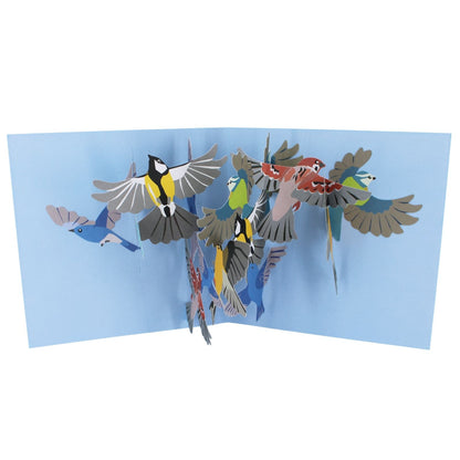2toTango 3D Pop Up Card Colourful Birds Greeting Card Any Occasion