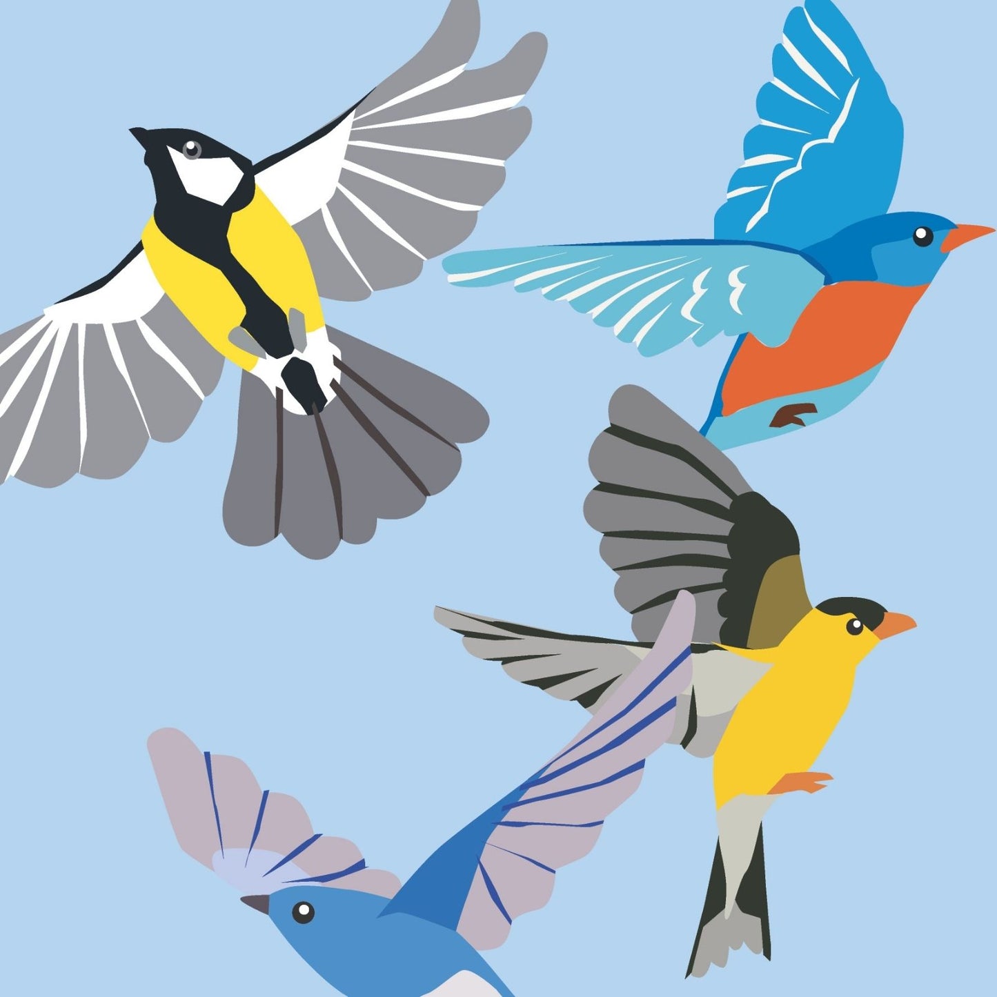 2toTango 3D Pop Up Card Colourful Birds Greeting Card Any Occasion