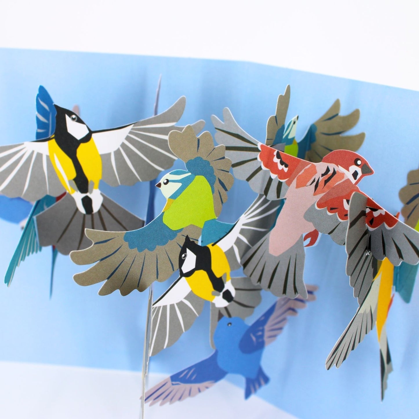2toTango 3D Pop Up Card Colourful Birds Greeting Card Any Occasion