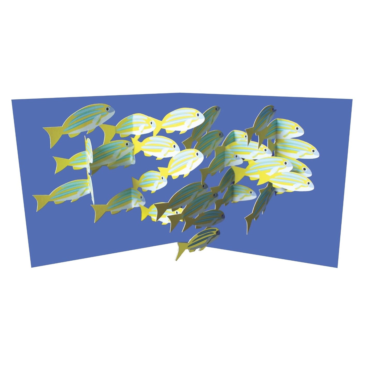 2toTango 3D Pop Up Card School Of Fish Greeting Card Any Occasion