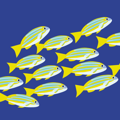 2toTango 3D Pop Up Card School Of Fish Greeting Card Any Occasion