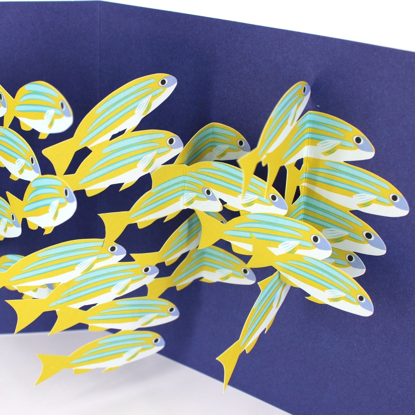 2toTango 3D Pop Up Card School Of Fish Greeting Card Any Occasion