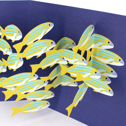 2toTango 3D Pop Up Card School Of Fish Greeting Card Any Occasion