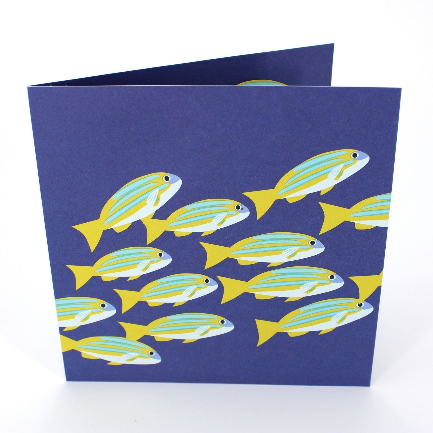 2toTango 3D Pop Up Card School Of Fish Greeting Card Any Occasion