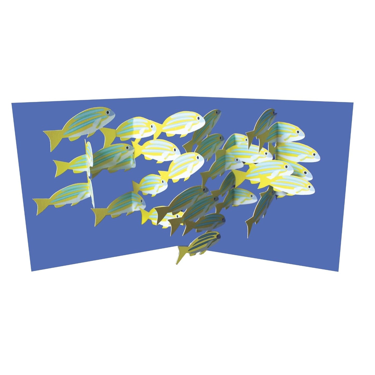 2toTango 3D Pop Up Card School Of Fish Greeting Card Any Occasion