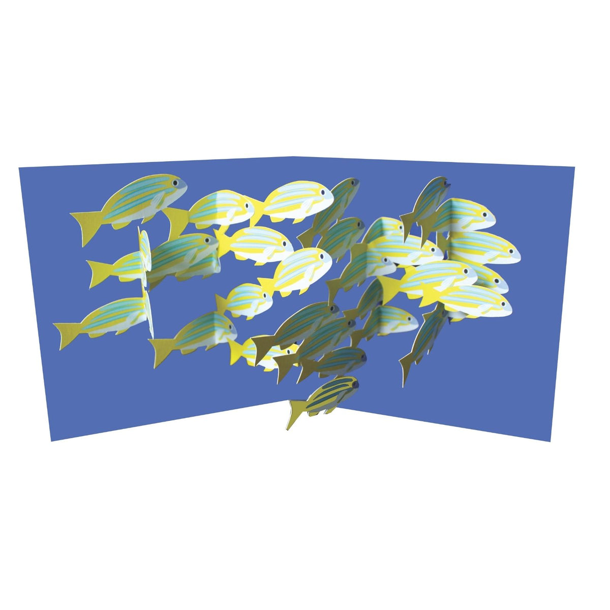 2toTango 3D Pop Up Card School Of Fish Greeting Card Any Occasion
