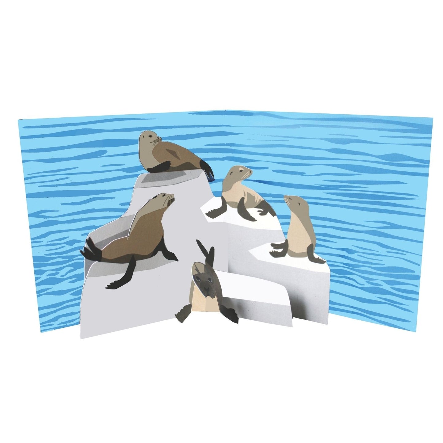 2toTango 3D Pop Up Card Colony Of Seals Greeting Card Any Occasion