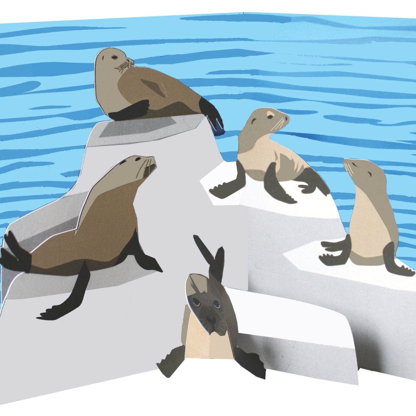 2toTango 3D Pop Up Card Colony Of Seals Greeting Card Any Occasion