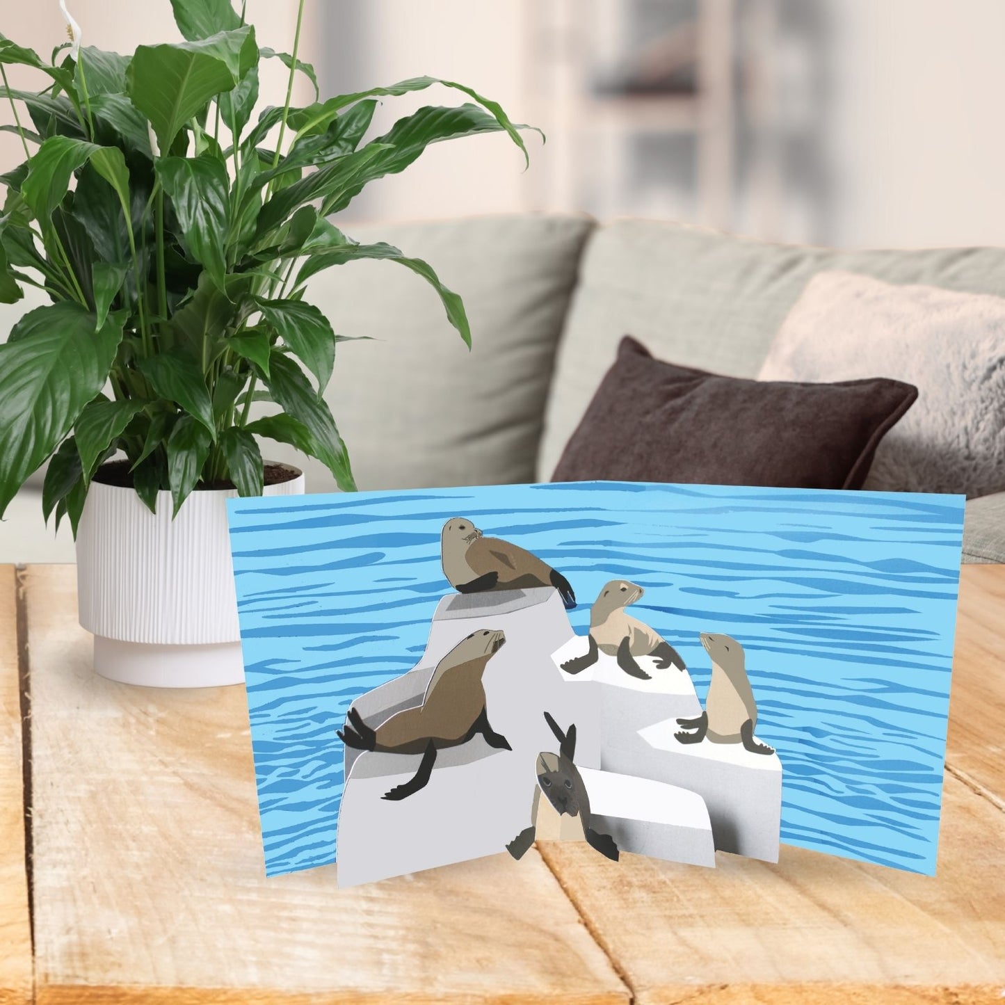 2toTango 3D Pop Up Card Colony Of Seals Greeting Card Any Occasion
