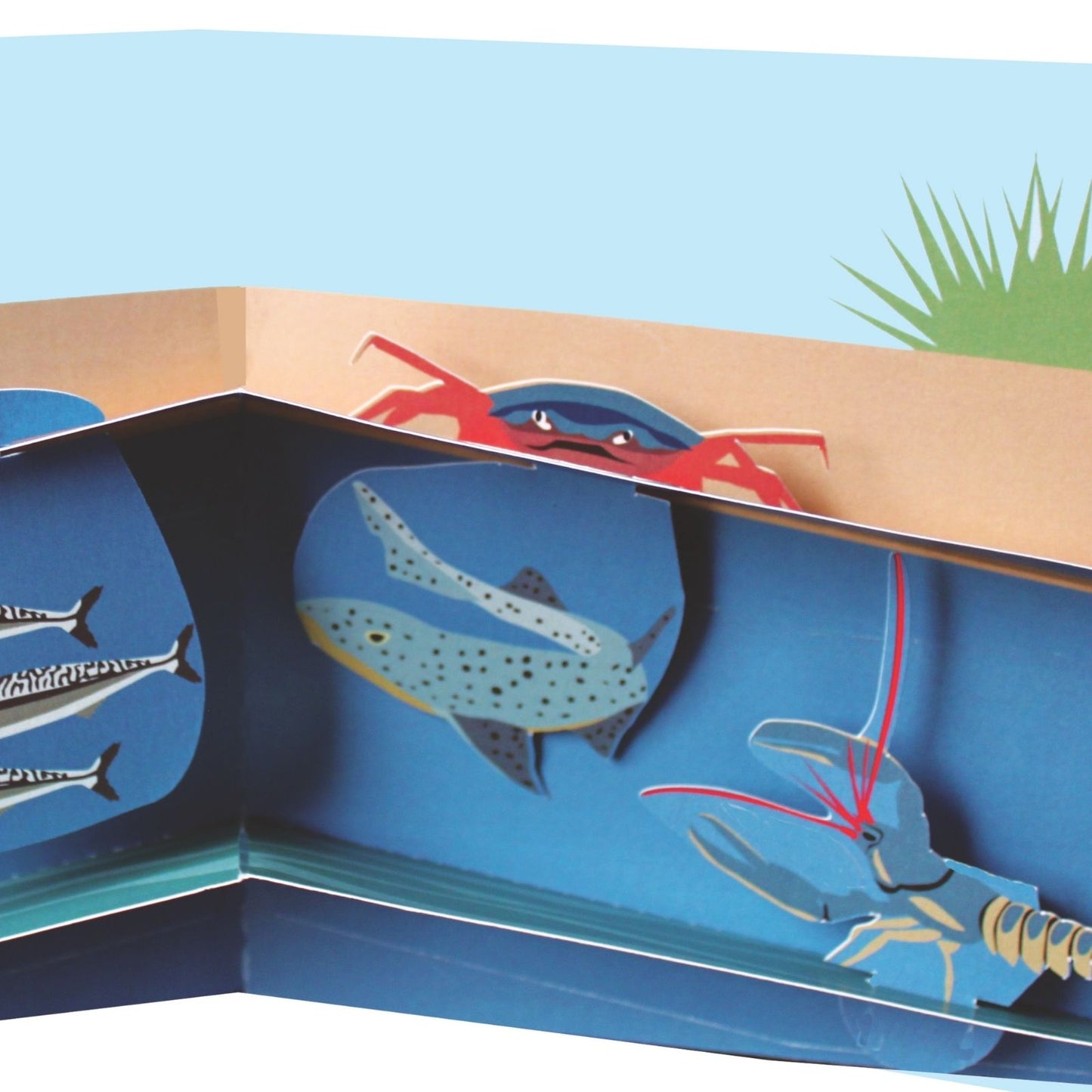 2toTango 3D Pop Up Card Shoreline View Greeting Card Any Occasion