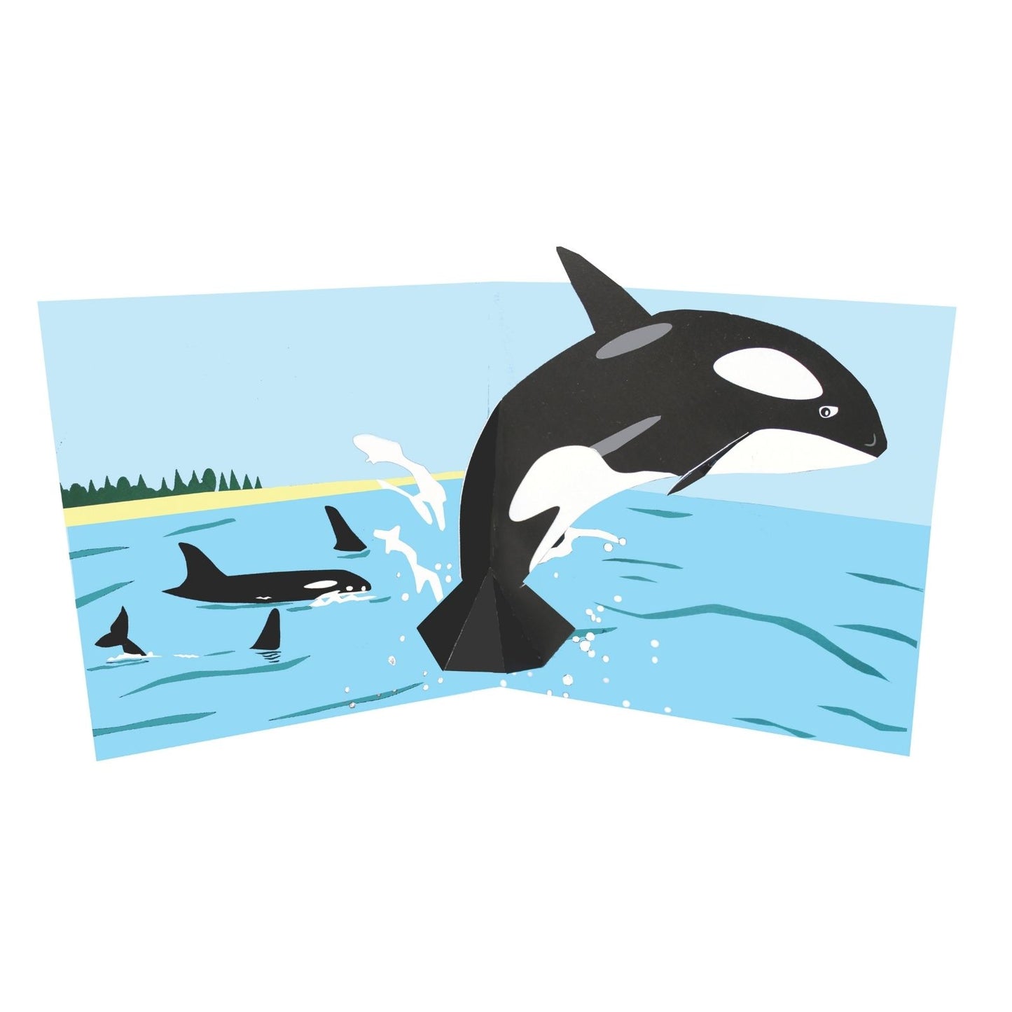 2toTango 3D Pop Up Card Killer Whale Greeting Card Any Occasion