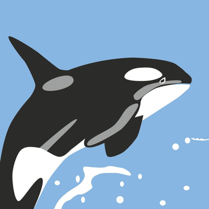 2toTango 3D Pop Up Card Killer Whale Greeting Card Any Occasion