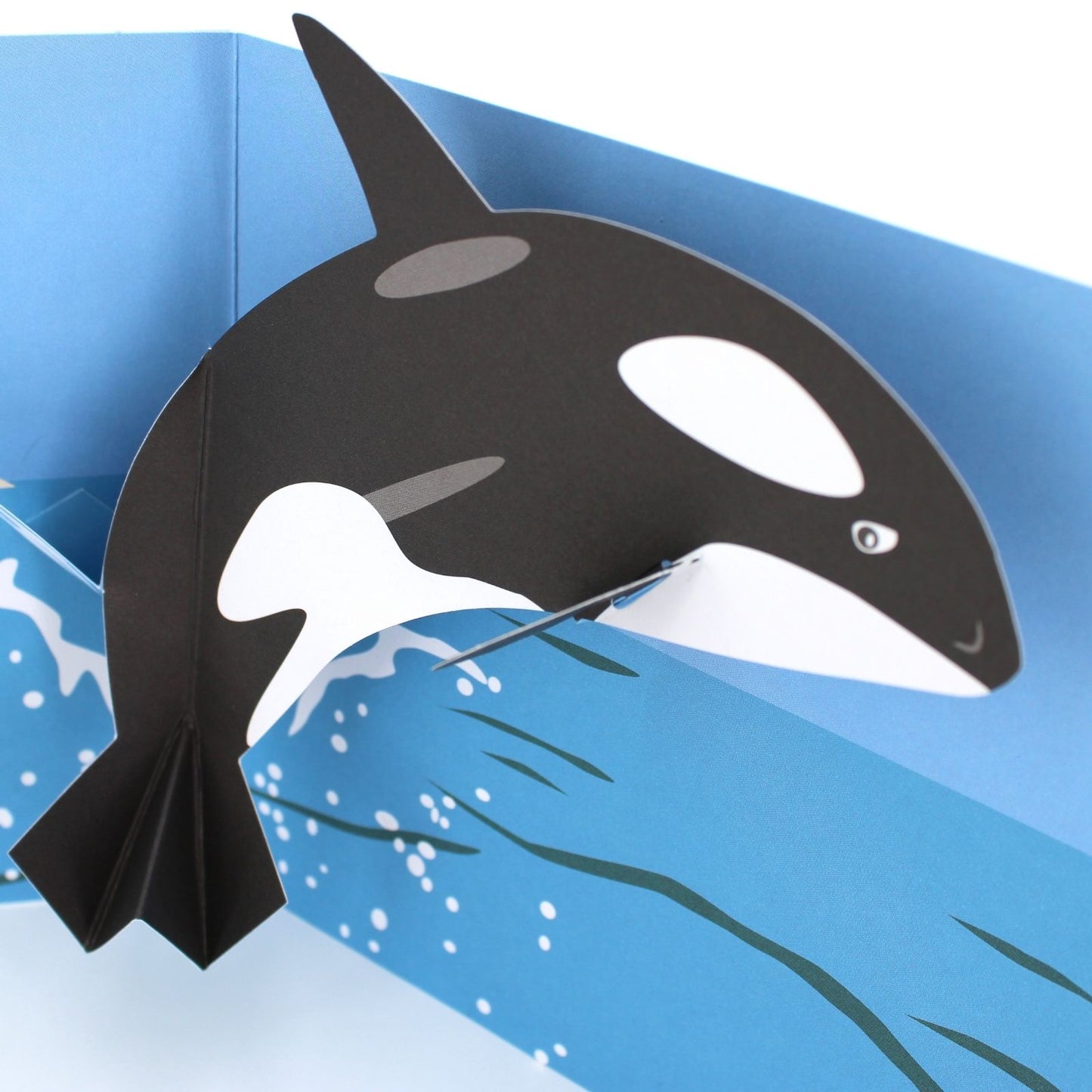 2toTango 3D Pop Up Card Killer Whale Greeting Card Any Occasion