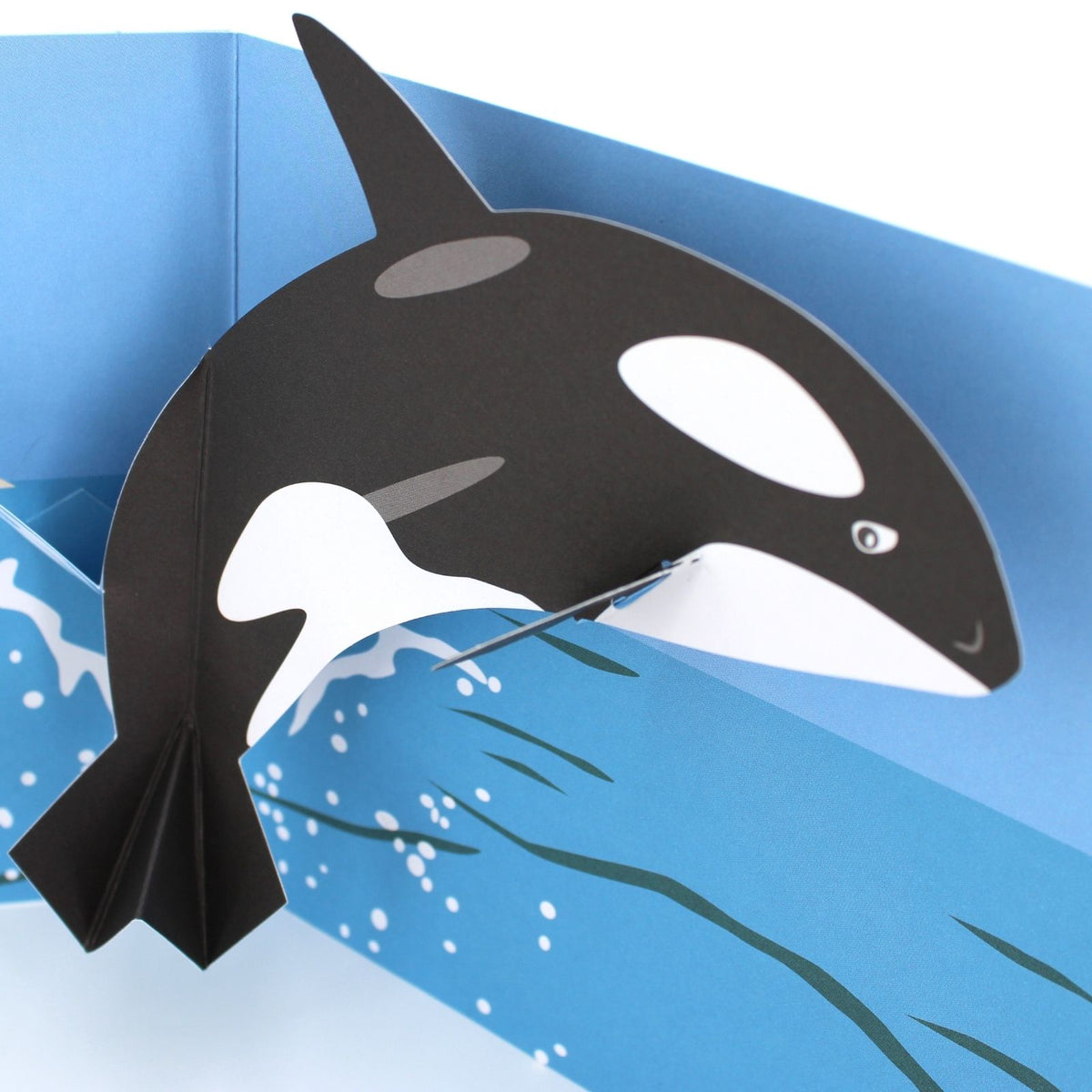 2toTango 3D Pop Up Card Killer Whale Greeting Card Any Occasion