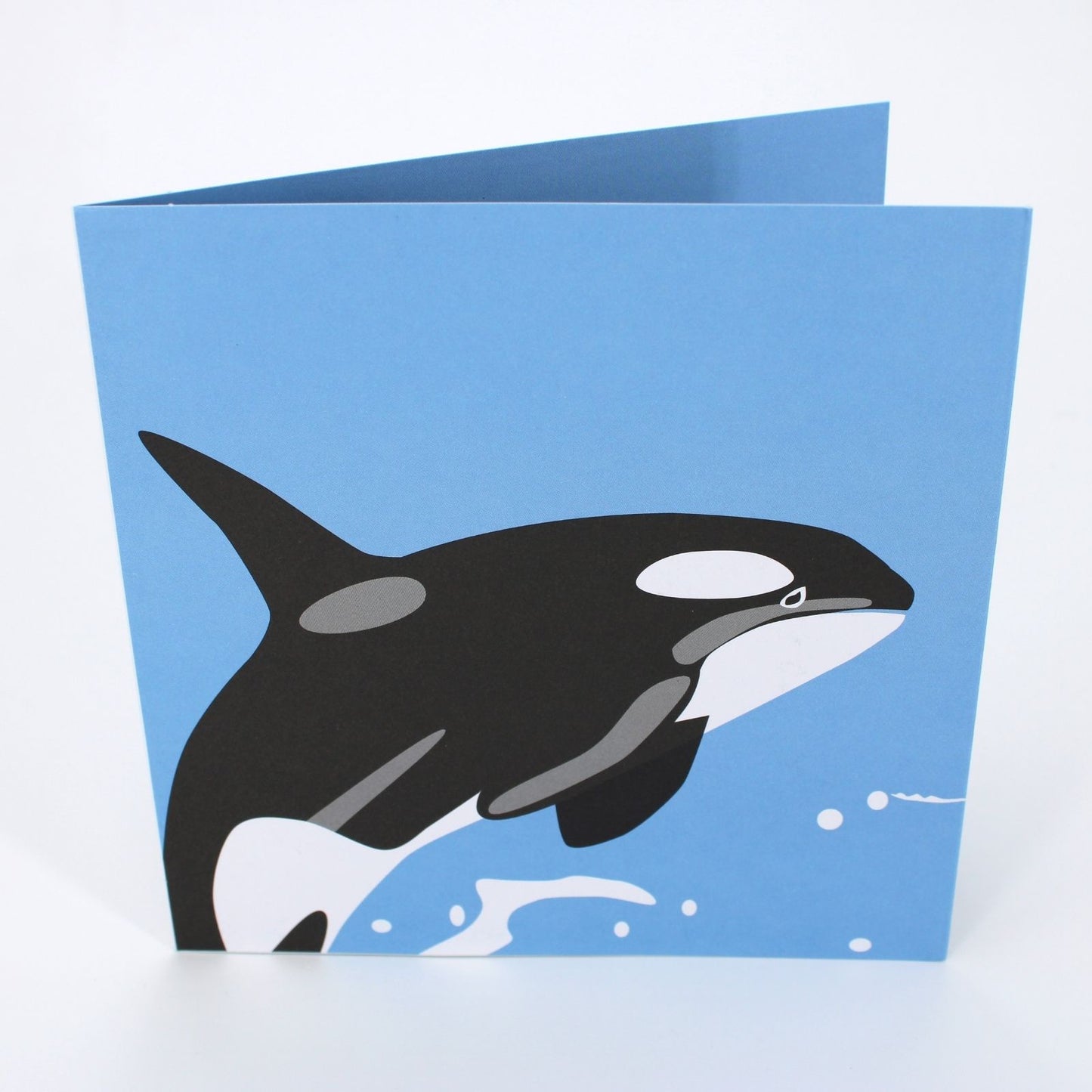 2toTango 3D Pop Up Card Killer Whale Greeting Card Any Occasion
