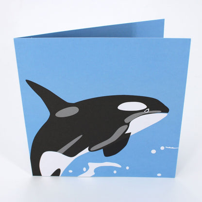 2toTango 3D Pop Up Card Killer Whale Greeting Card Any Occasion