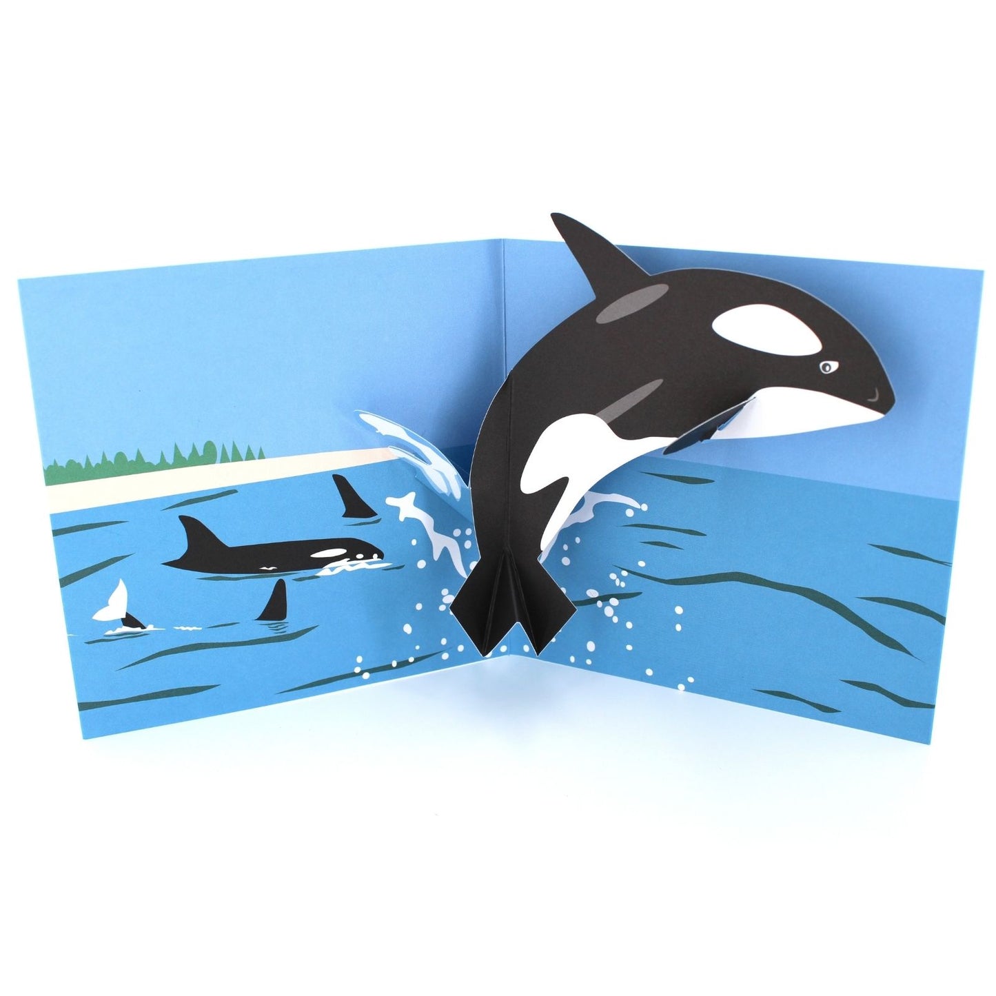 2toTango 3D Pop Up Card Killer Whale Greeting Card Any Occasion