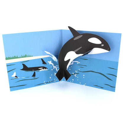 2toTango 3D Pop Up Card Killer Whale Greeting Card Any Occasion