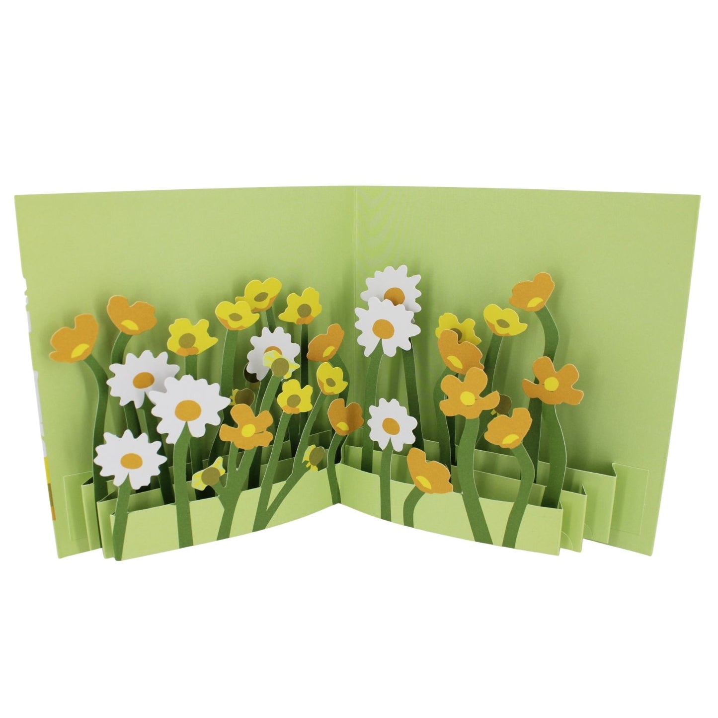 2toTango 3D Pop Up Card Buttercups & Daisies Greeting Card Any Occasion