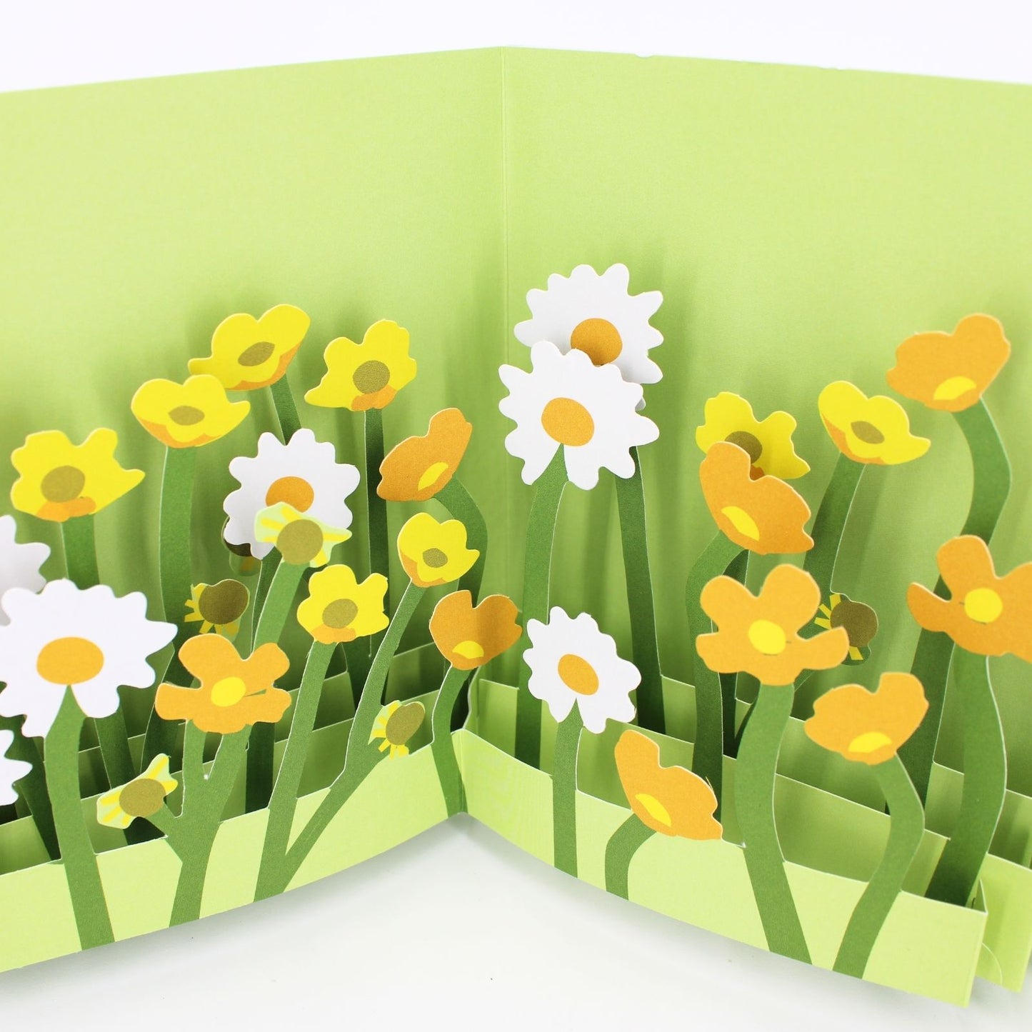 2toTango 3D Pop Up Card Buttercups & Daisies Greeting Card Any Occasion