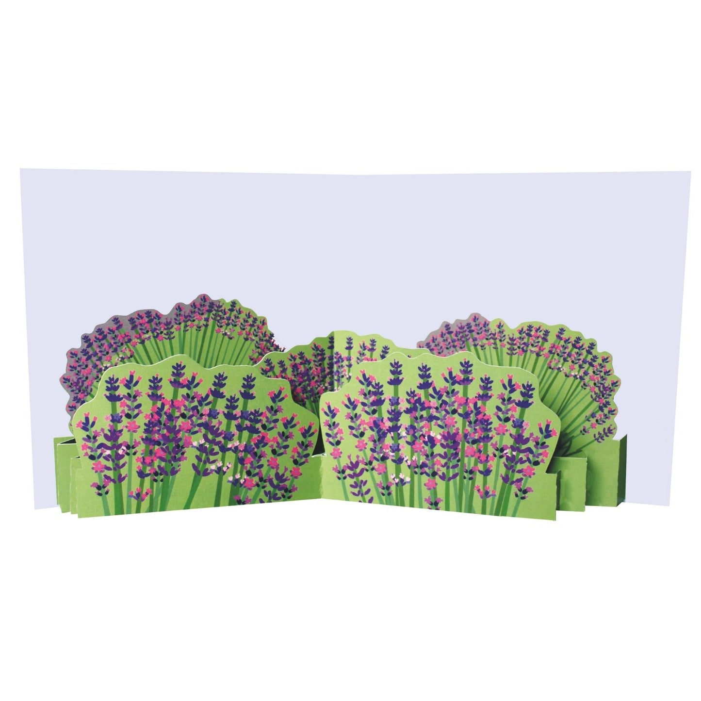 2toTango 3D Pop Up Card Lavender Field Greeting Card Any Occasion
