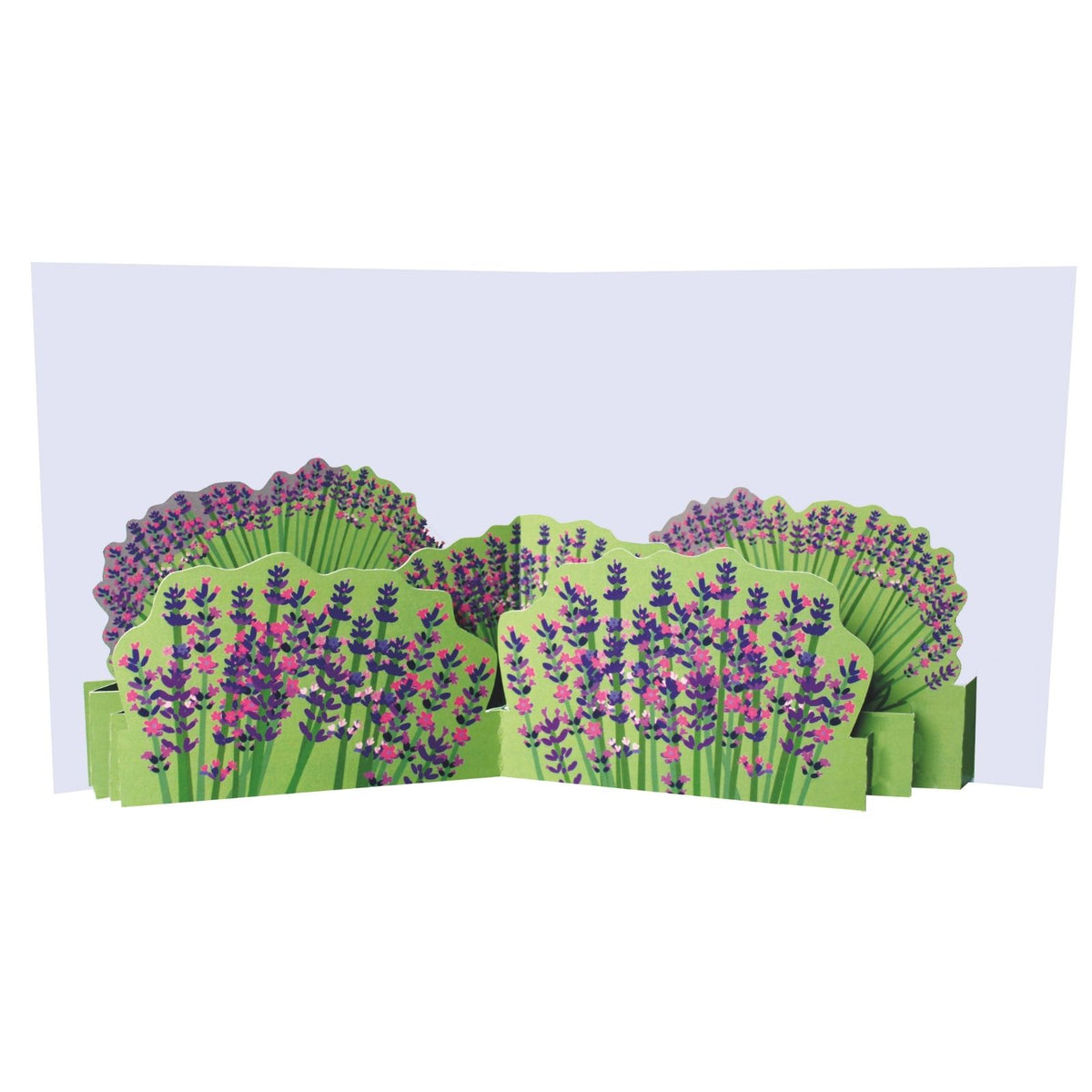 2toTango 3D Pop Up Card Lavender Field Greeting Card Any Occasion