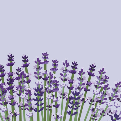2toTango 3D Pop Up Card Lavender Field Greeting Card Any Occasion