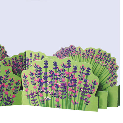 2toTango 3D Pop Up Card Lavender Field Greeting Card Any Occasion