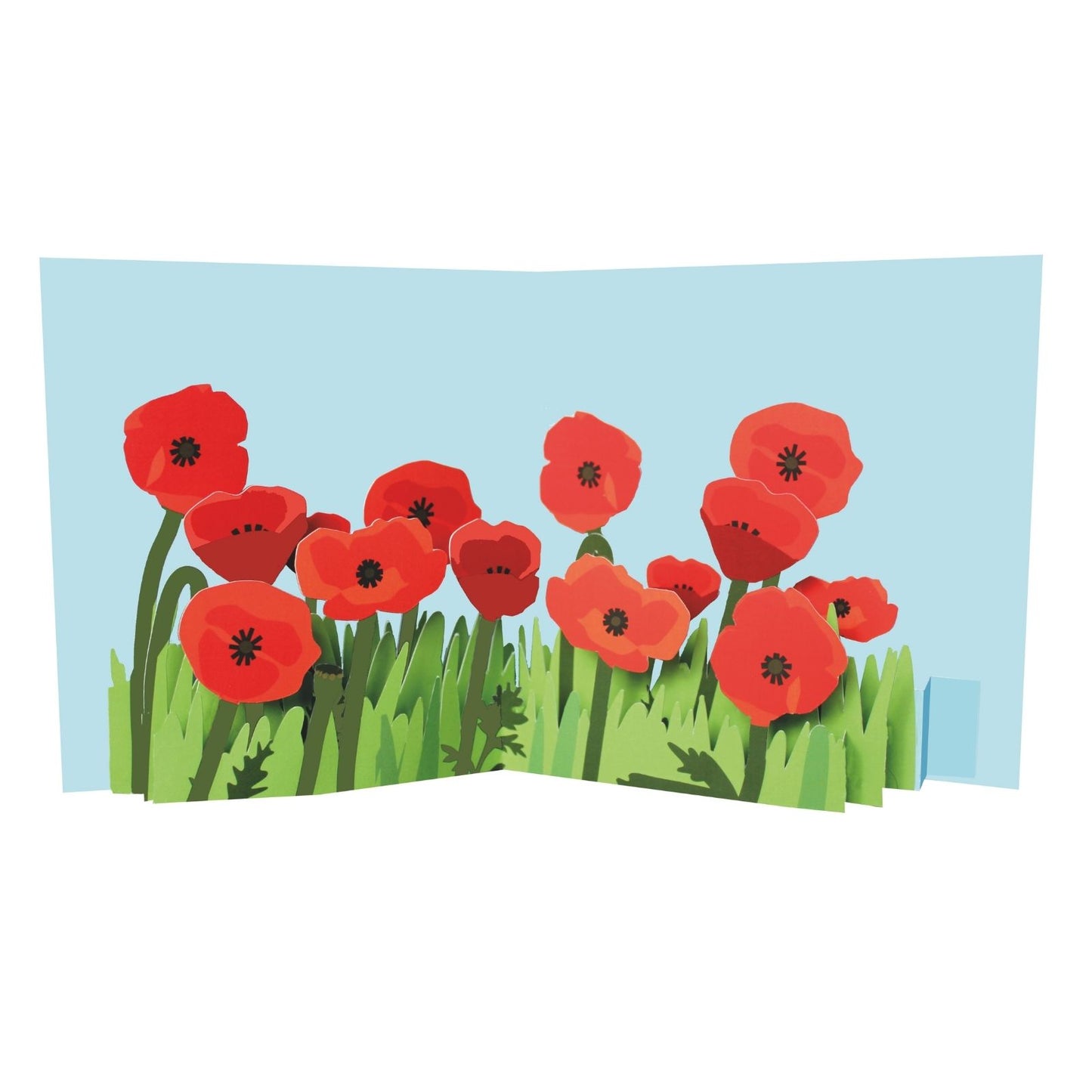 2toTango 3D Pop Up Card Red Poppies Greeting Card Any Occasion