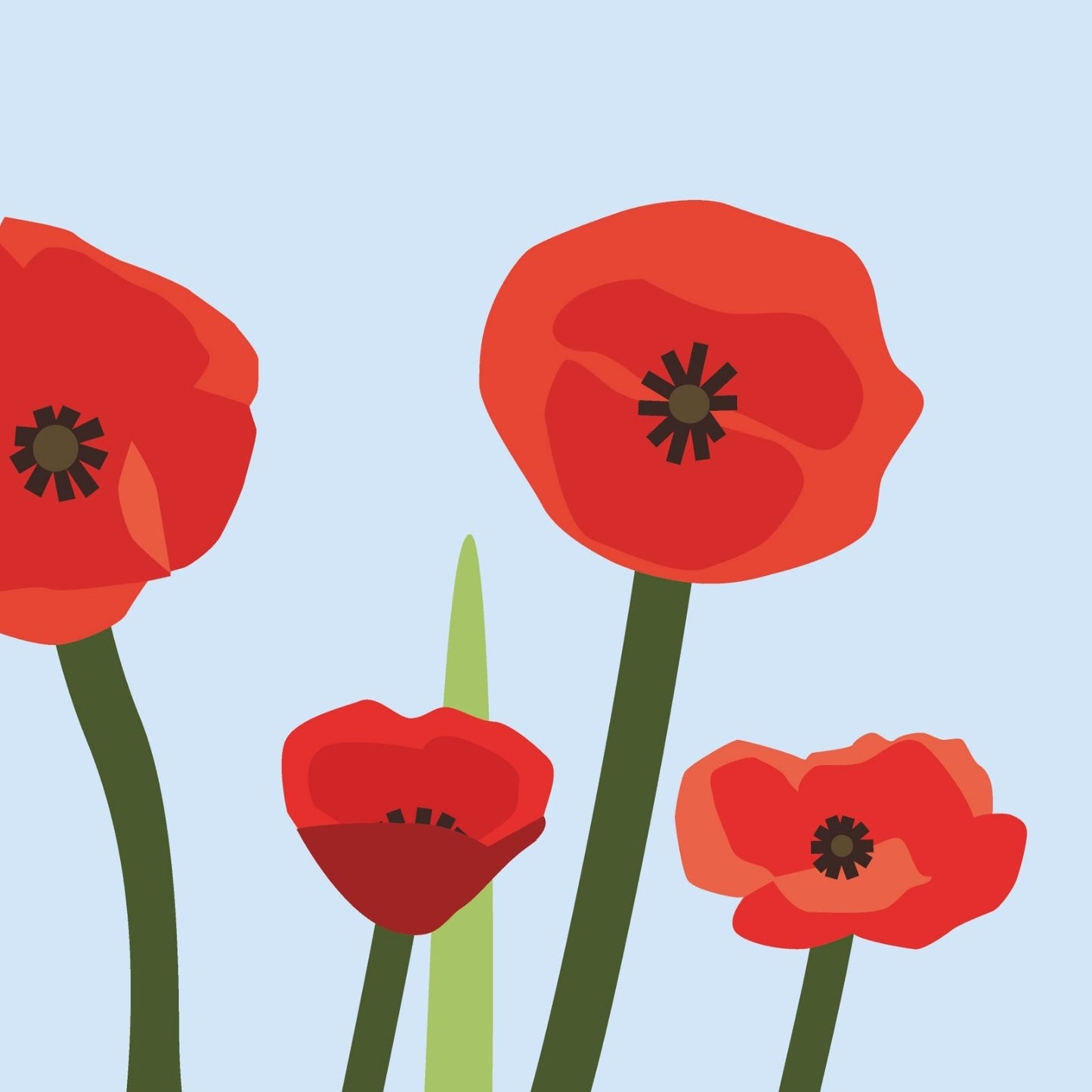 2toTango 3D Pop Up Card Red Poppies Greeting Card Any Occasion