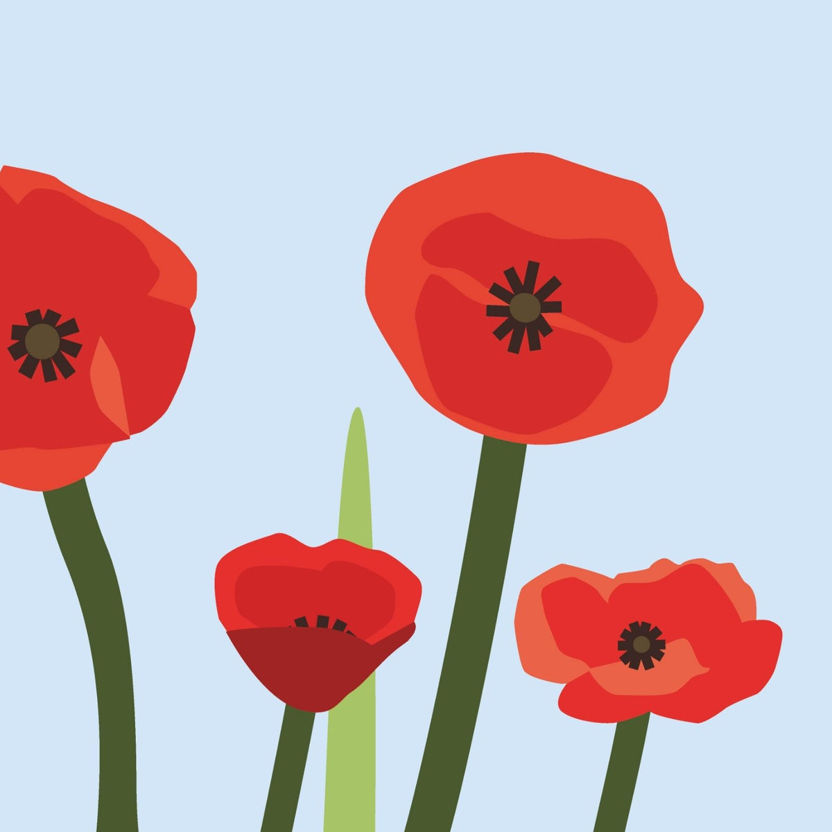 2toTango 3D Pop Up Card Red Poppies Greeting Card Any Occasion