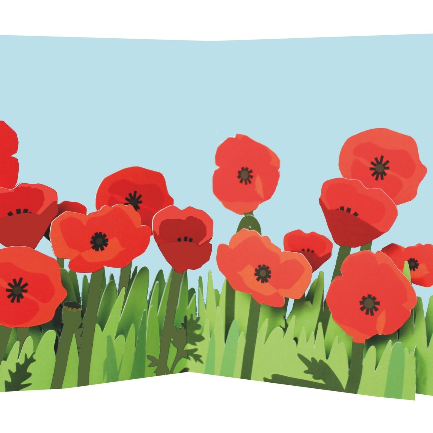 2toTango 3D Pop Up Card Red Poppies Greeting Card Any Occasion