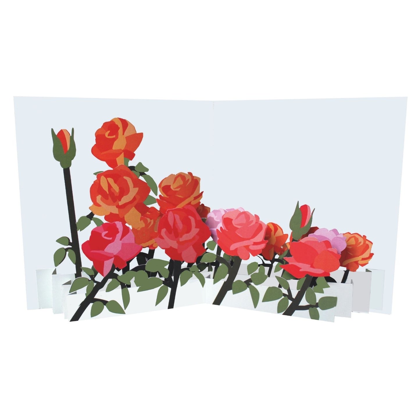 2toTango 3D Pop Up Card Mixed Roses Greeting Card Any Occasion