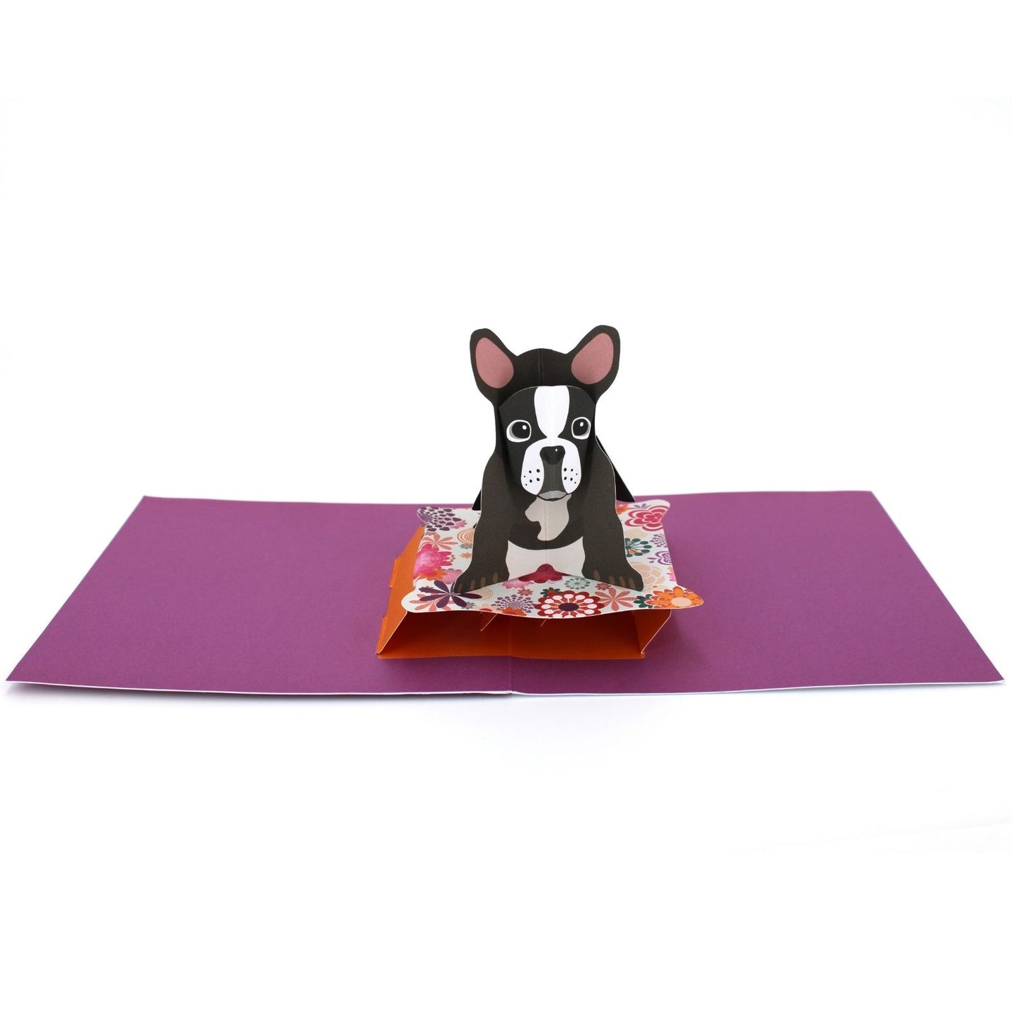 2toTango 3D Pop Up Card Cute French Bulldog Greeting Card Any Occasion