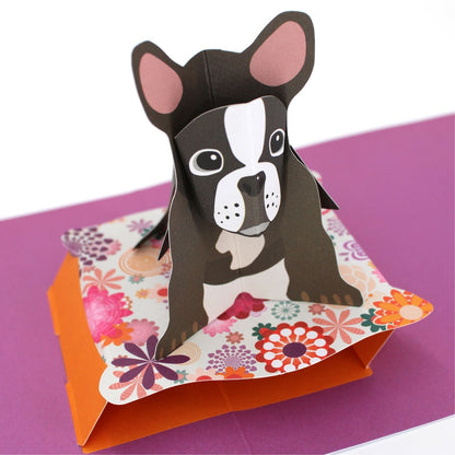 2toTango 3D Pop Up Card Cute French Bulldog Greeting Card Any Occasion