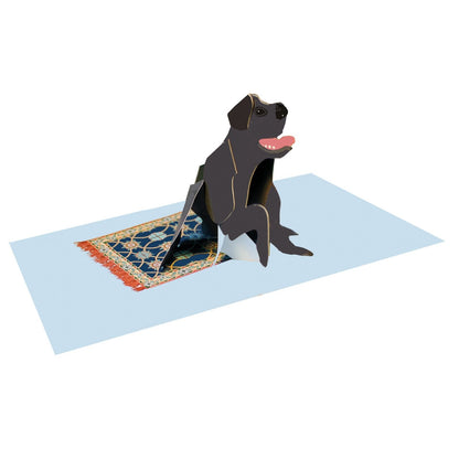 2toTango 3D Pop Up Card Cute Labrador Greeting Card Any Occasion