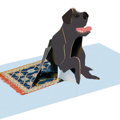 2toTango 3D Pop Up Card Cute Labrador Greeting Card Any Occasion