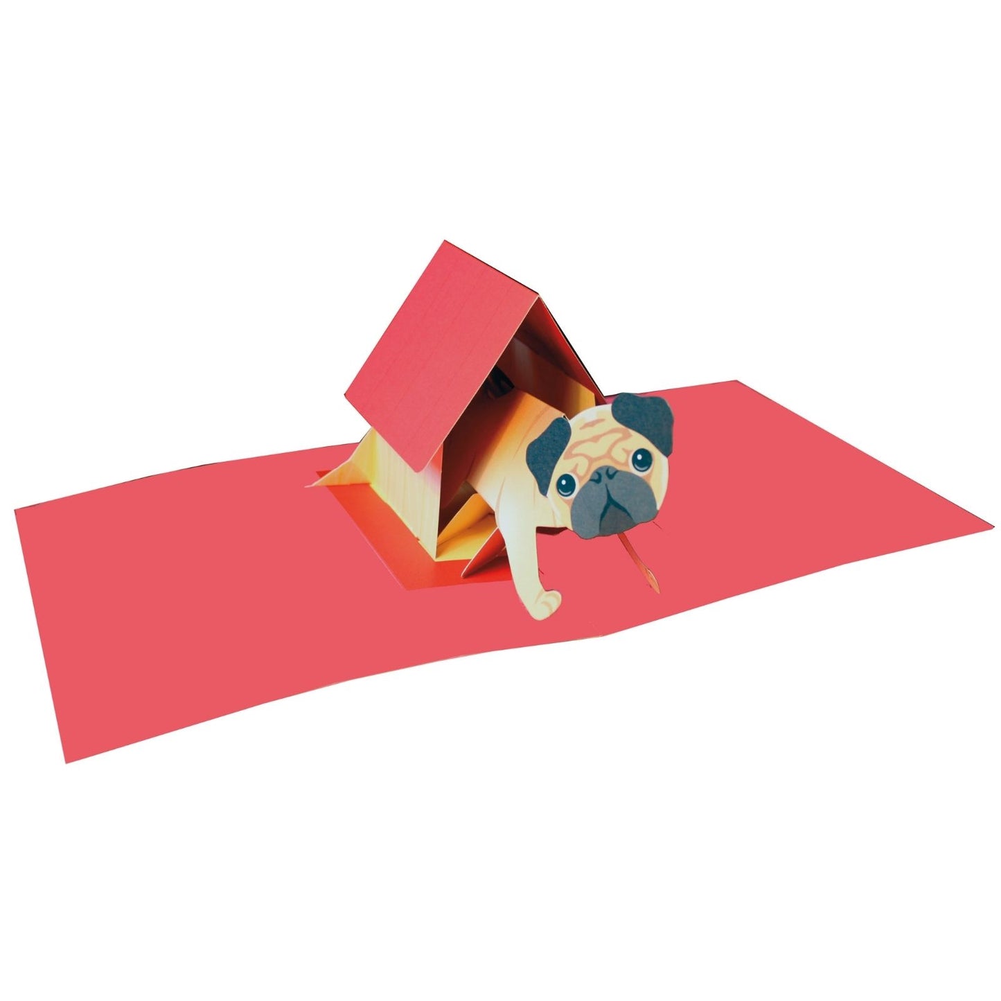 2toTango 3D Pop Up Card Dog Cute Pug Greeting Card Any Occasion