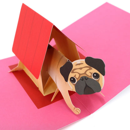 2toTango 3D Pop Up Card Dog Cute Pug Greeting Card Any Occasion
